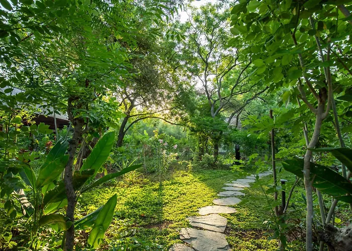 Ananda Bali Pemuteran